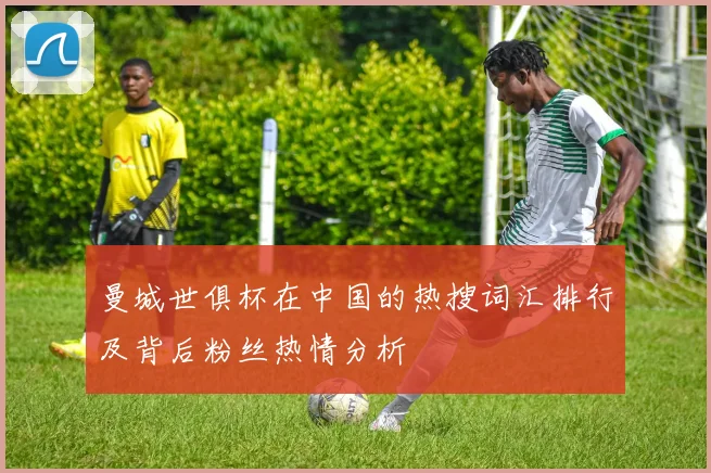 曼城世俱杯在中国的热搜词汇排行及背后粉丝热情分析