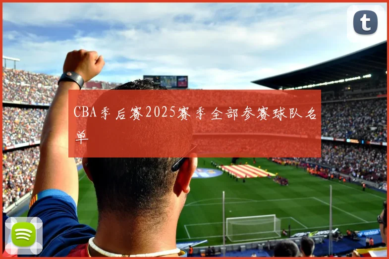 CBA季后赛2025赛季全部参赛球队名单