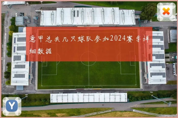 意甲总共几只球队参加2024赛季详细数据