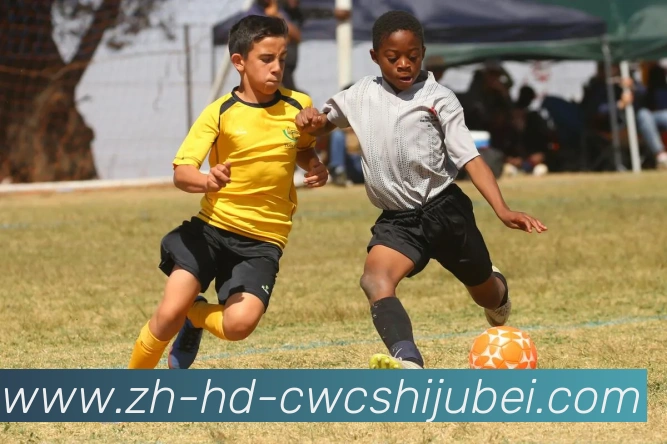 多媒体互动体验