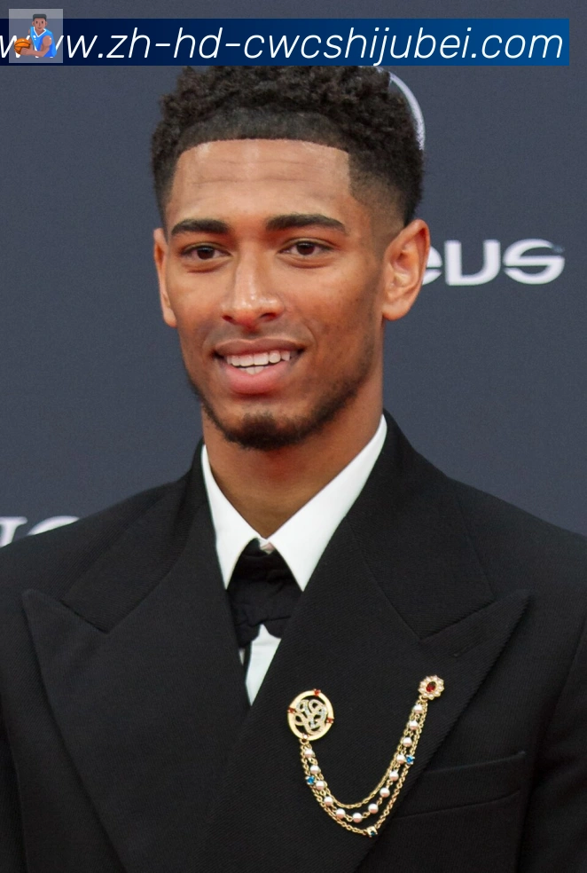 维尼修斯