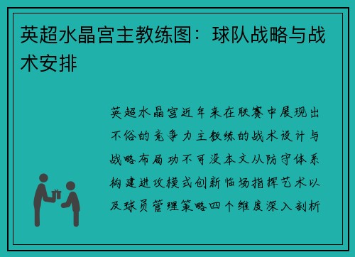 英超水晶宫主教练图：球队战略与战术安排